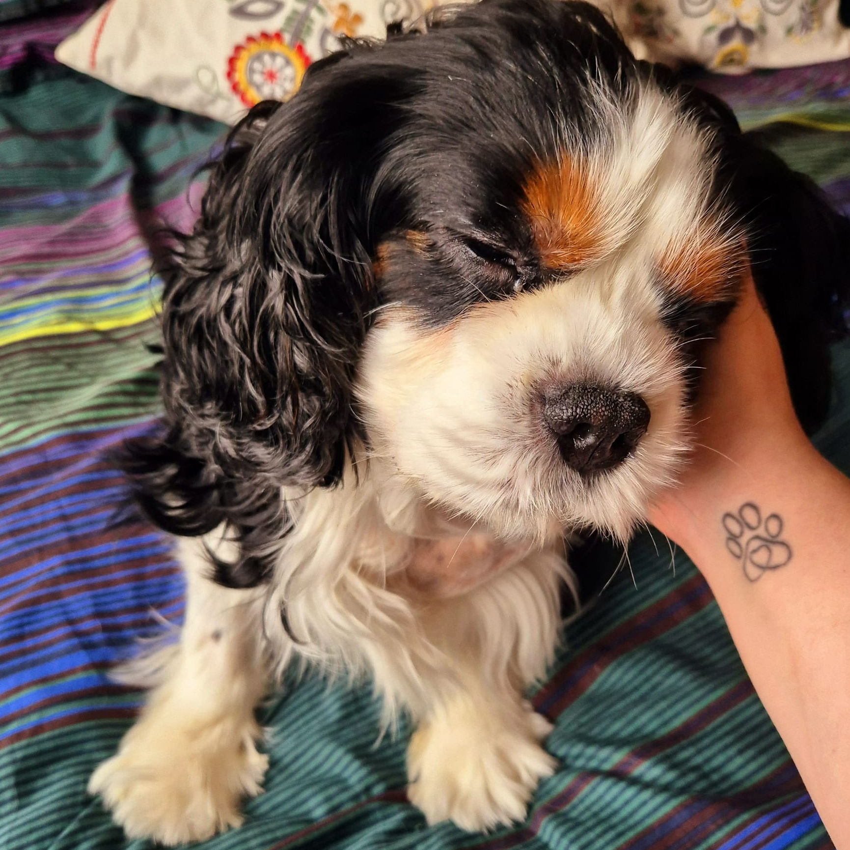 2024_2025 - Murphy - 10.jpg